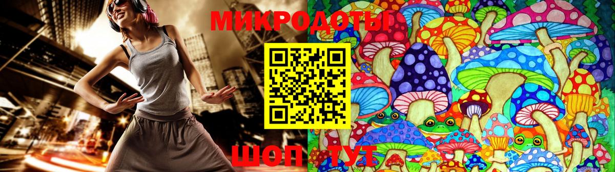 Галлюциногенные грибы Psilocybe Нижний Новгород
